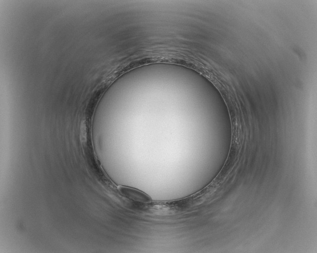 X0000116610562200912111003