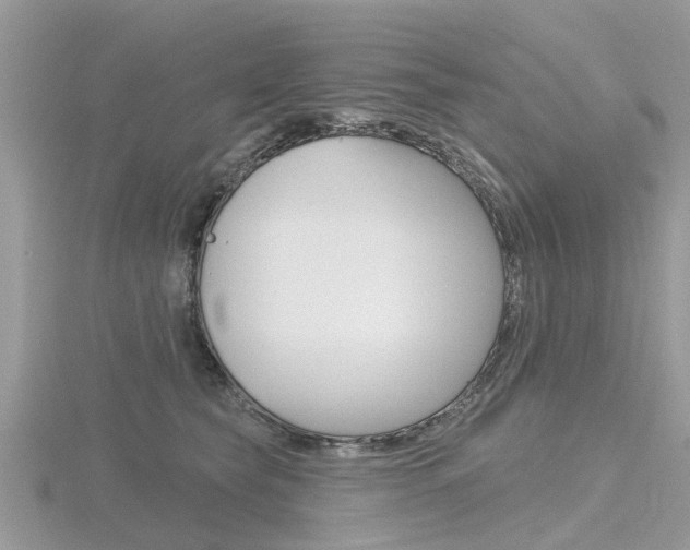 X0000116610565200912111003