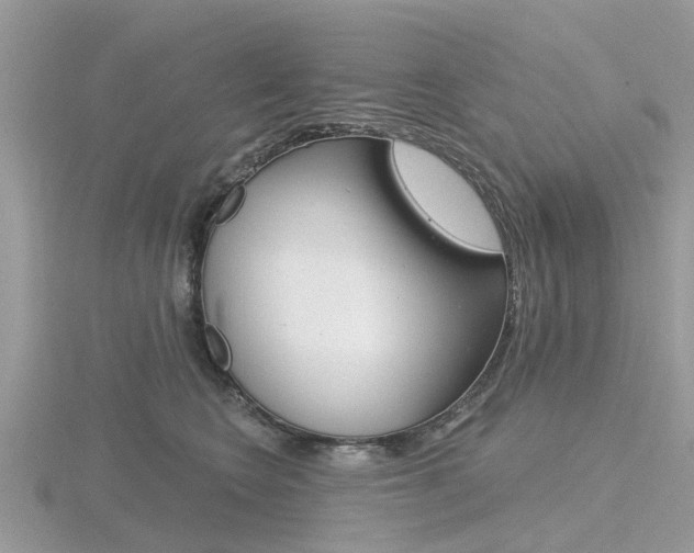 X0000116610566200912111003
