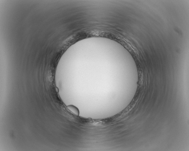 X0000116610569200912111003