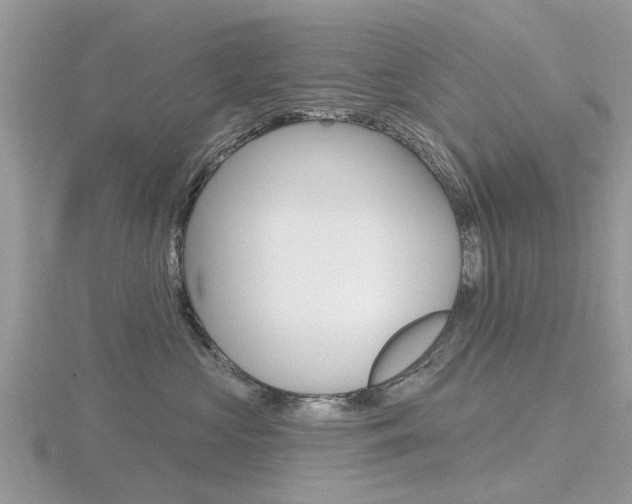 X0000116610573200912111003