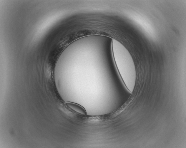 X0000116610574200912111003