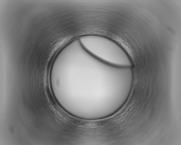 X0000116610578200912111003