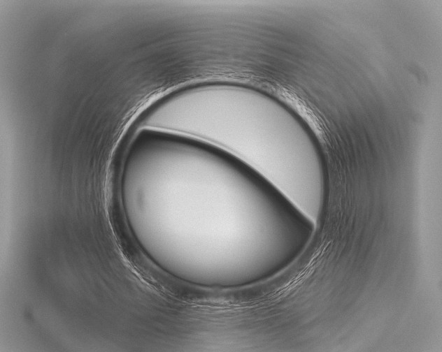 X0000116610580200912111003