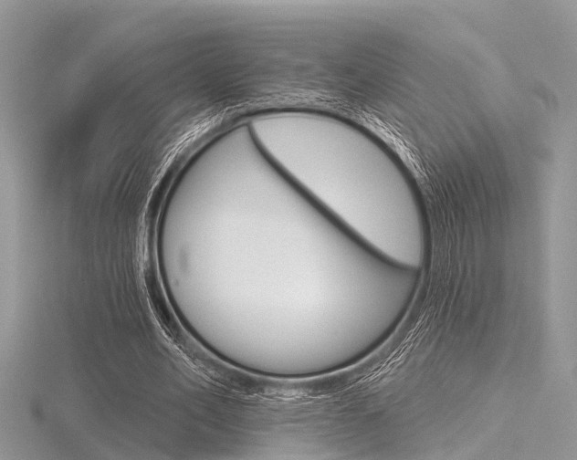X0000116610582200912111003