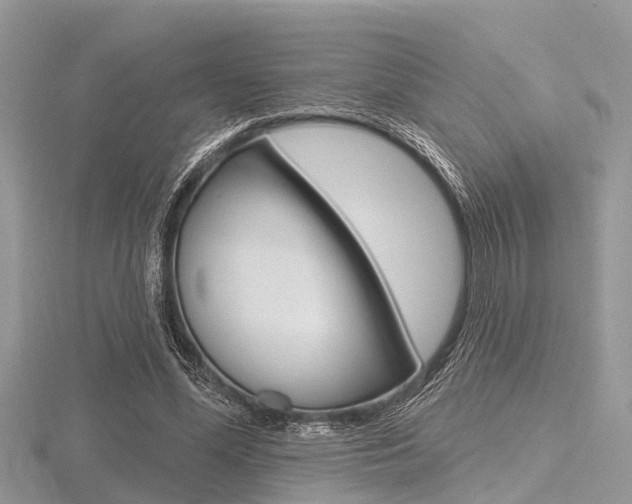 X0000116610588200912111002