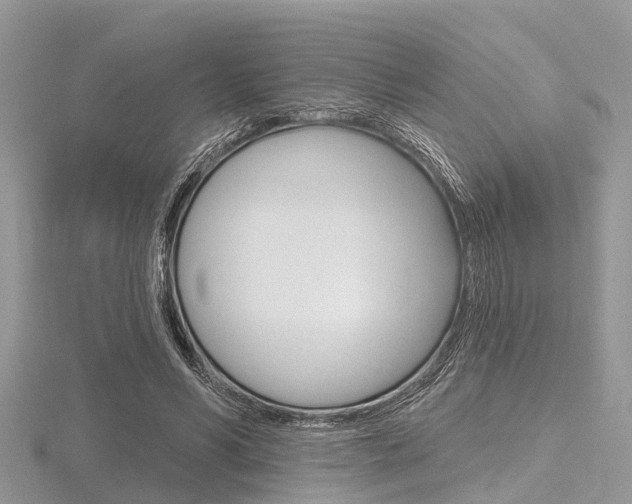 X0000116610590200912111002