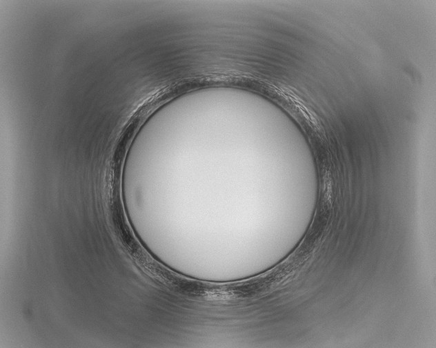 X0000116610591200912111002
