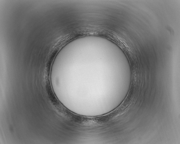 X0000116610594200912111002