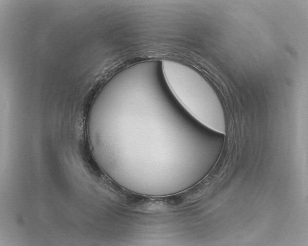X0000116610604200912111002