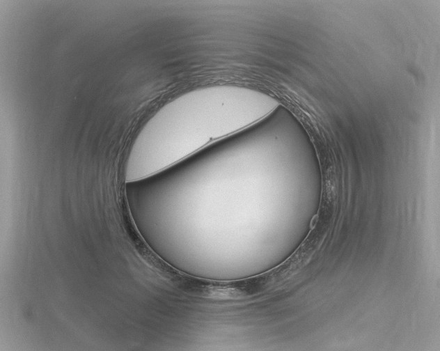 X0000116610605200912111002