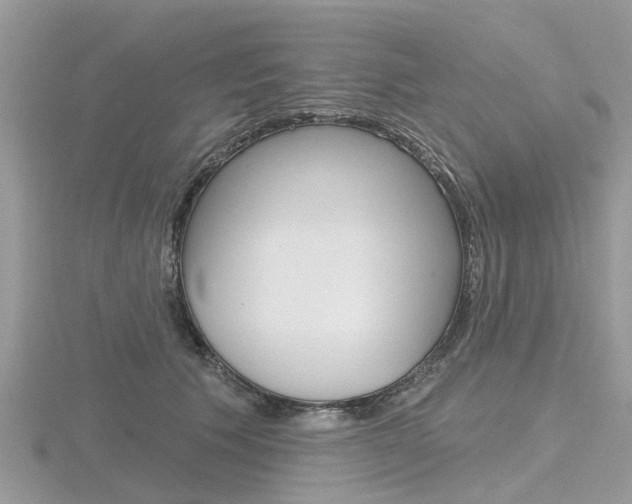 X0000116610609200912111002