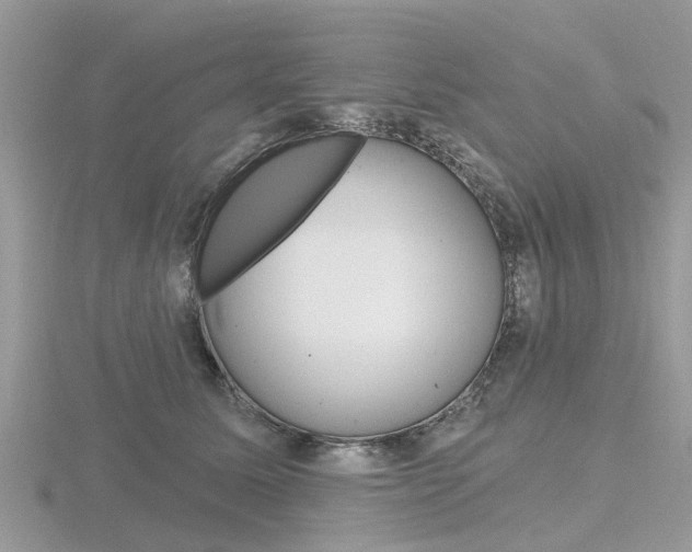 X0000116610611200912111002