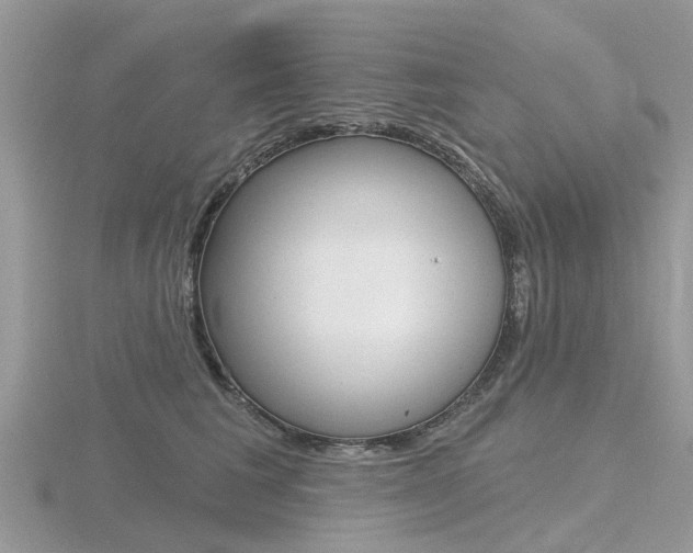 X0000116610613200912111002