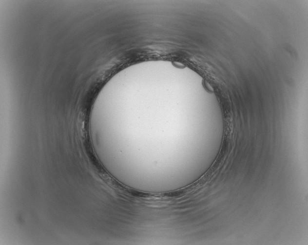 X0000116610615200912111002