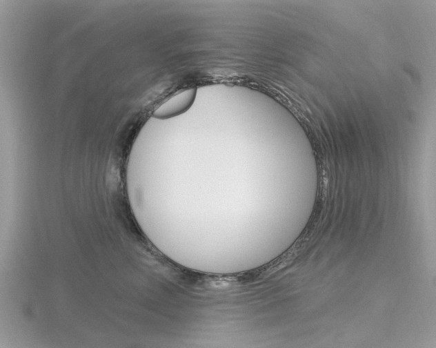 X0000116610618200912111002