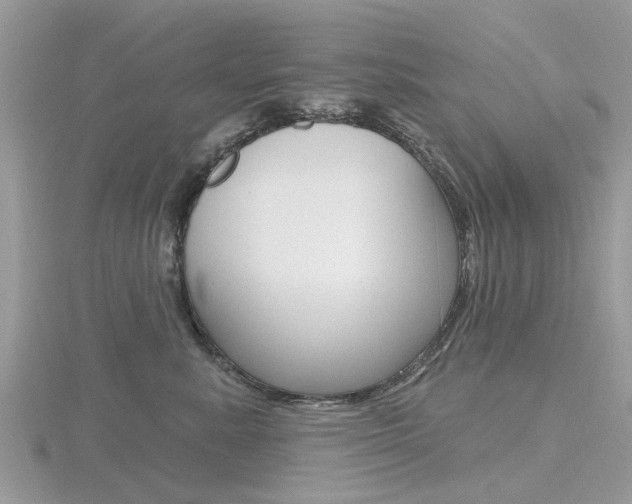 X0000116610619200912111002