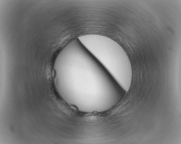 X0000116610620200912111002