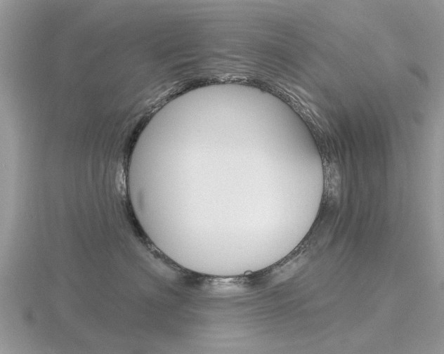 X0000116610622200912111002