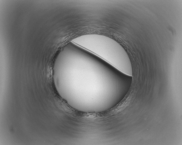 X0000116610624200912111002