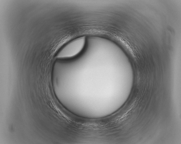 X0000116610625200912111001