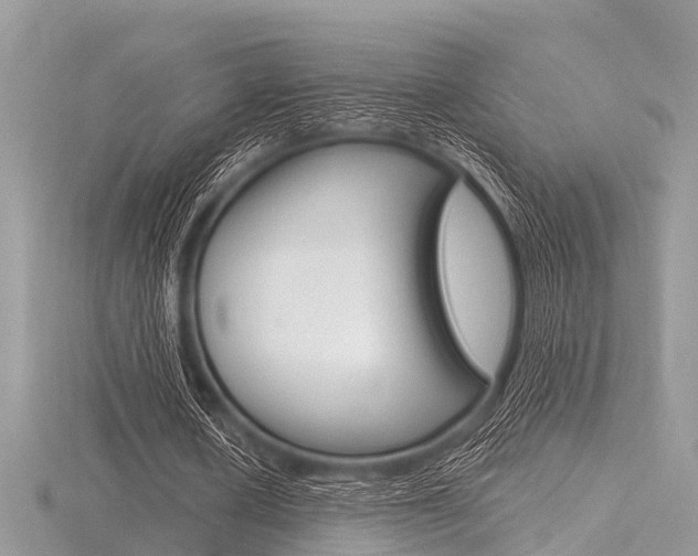 X0000116610626200912111001
