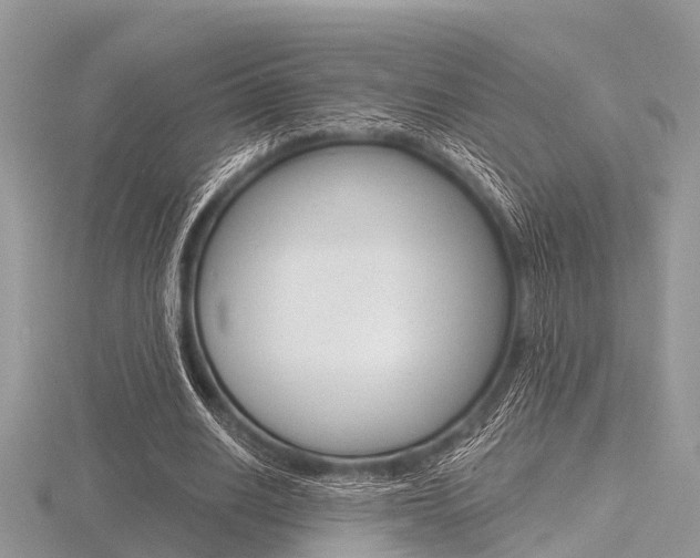 X0000116610630200912111001