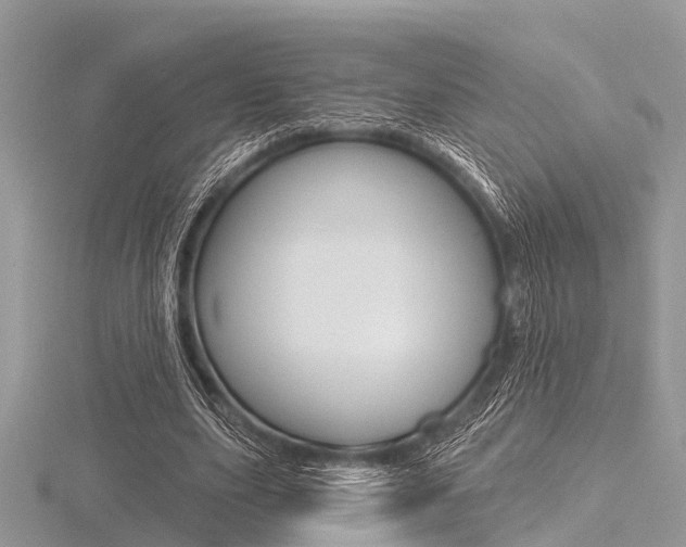 X0000116610631200912111001
