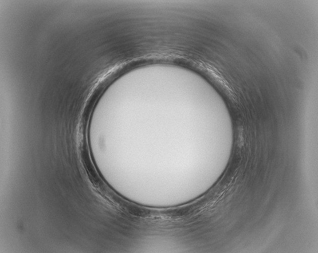 X0000116610632200912111001