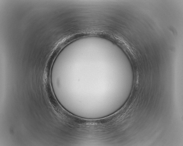 X0000116610636200912111002