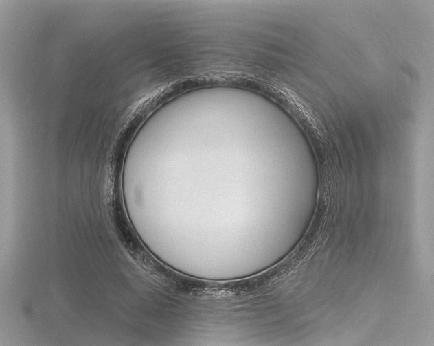 X0000116610640200912111002