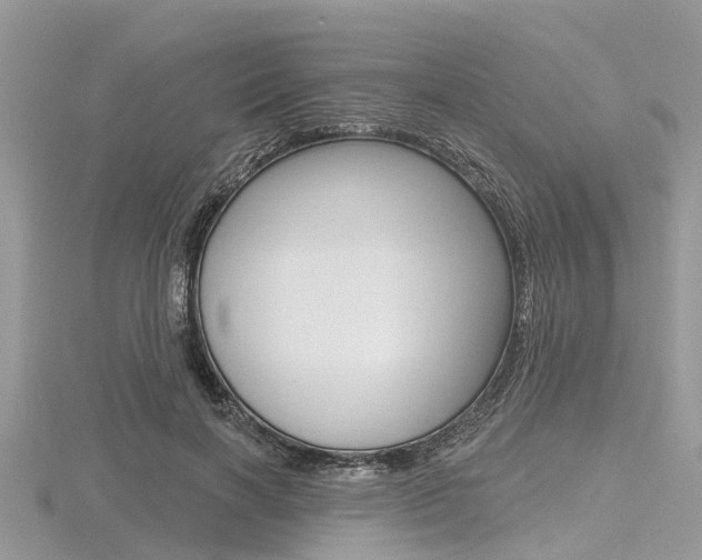 X0000116610646200912111002