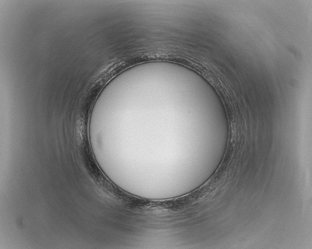 X0000116610648200912111002