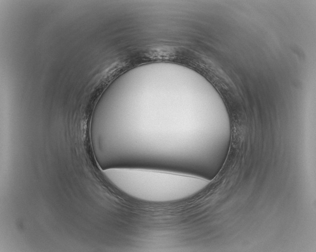 X0000116610652200912111002