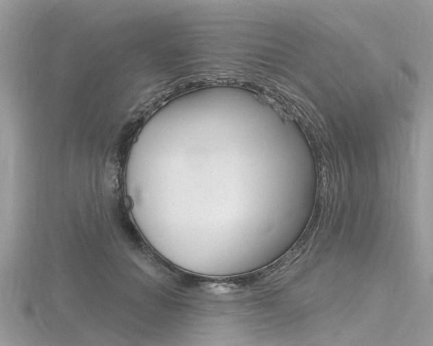 X0000116610654200912111002