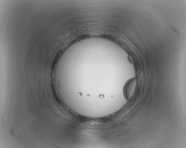 X0000116610655200912111002
