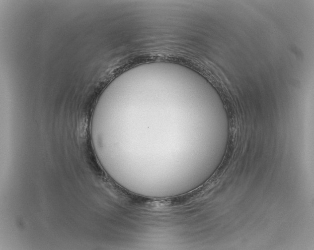 X0000116610660200912111002