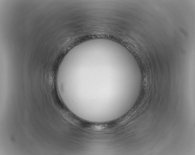 X0000116610662200912111002