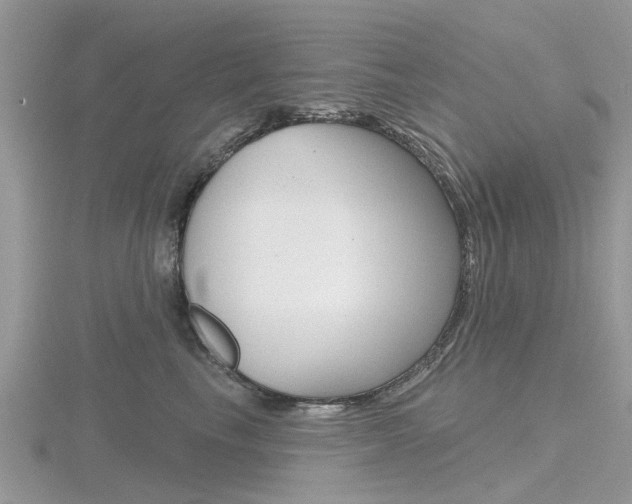 X0000116610665200912111002