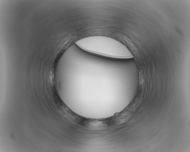 X0000116610669200912111002