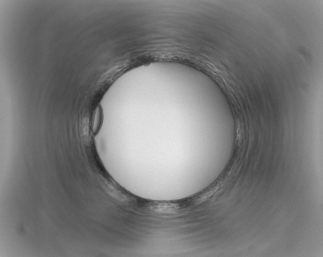 X0000116610670200912111002