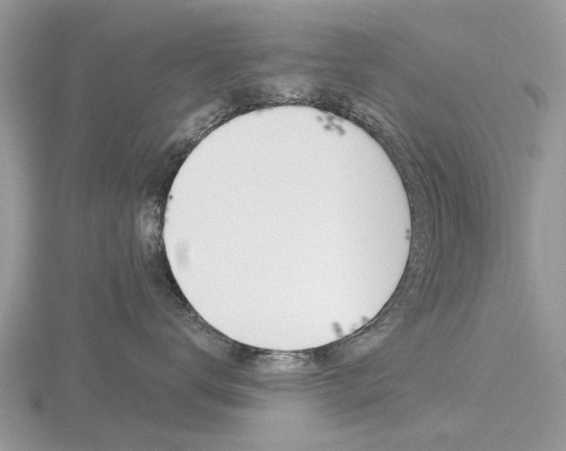 X0000116610672200912111002