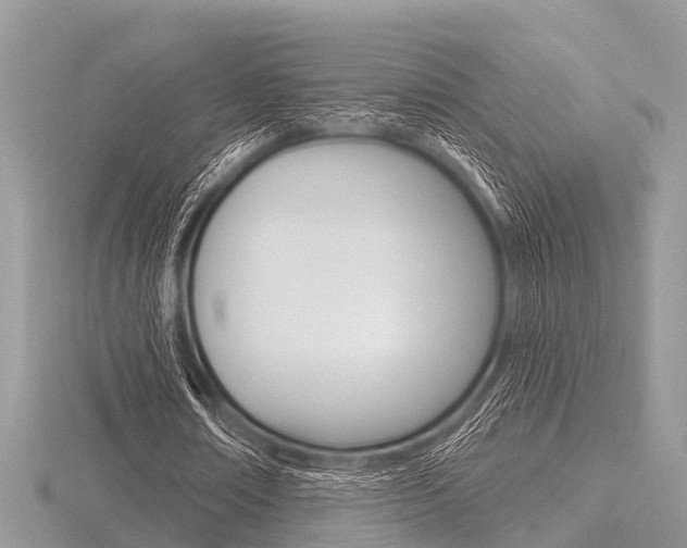 X0000116610674200912111001
