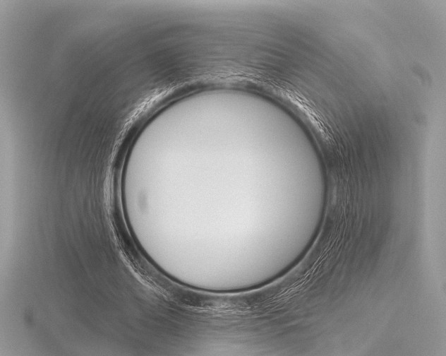 X0000116610678200912111001