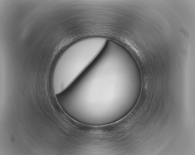 X0000116610685200912111001