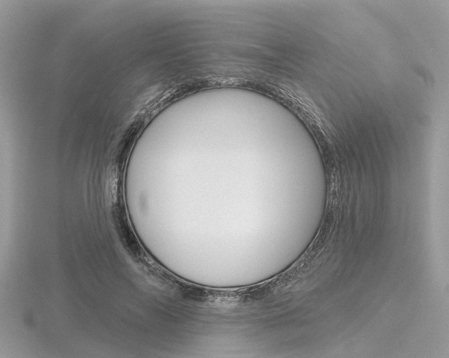 X0000116610694200912111001