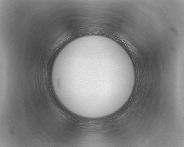 X0000116610696200912111001