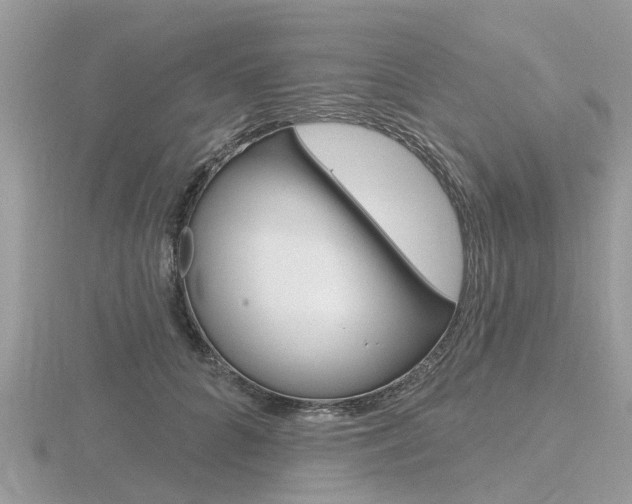 X0000116610704200912111001