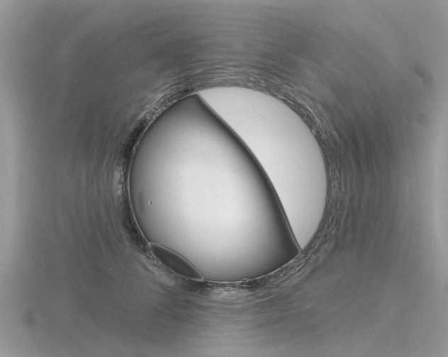 X0000116610708200912111001