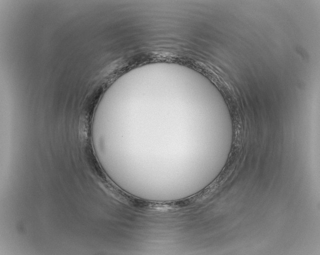 X0000116610710200912111001